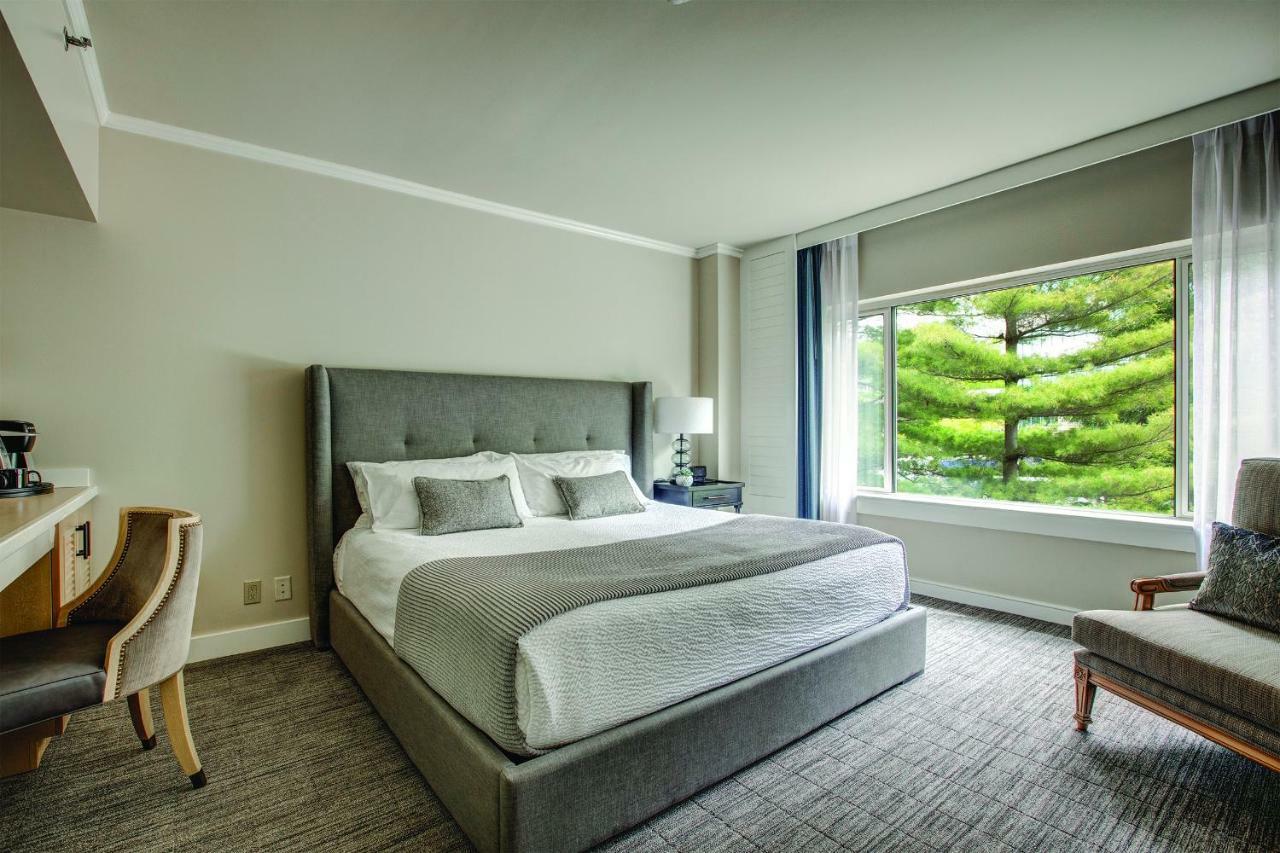 King Room - Disability Access,836062529:JPEG